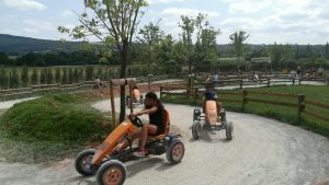 Les karts adultes