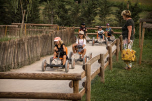 Les karts