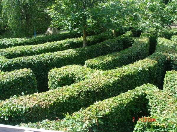 Labyrinthe végétal – Jardin des Bêtes
